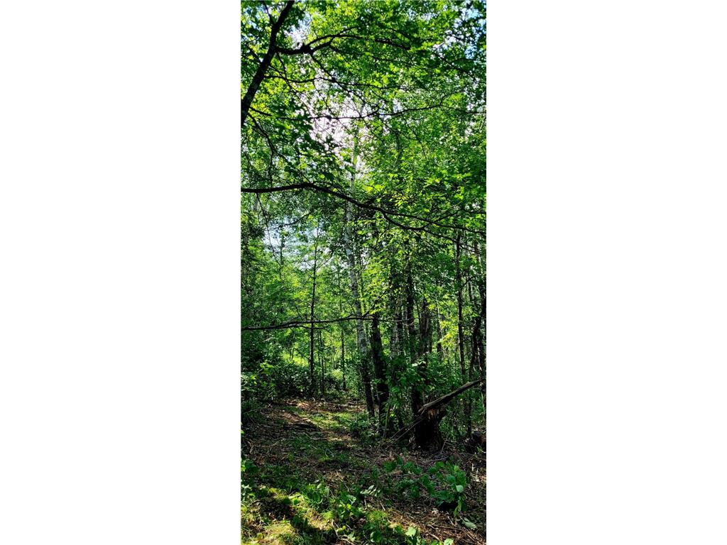 12 Suffolk Circle Breezy Point MN 56472 6739623 image29