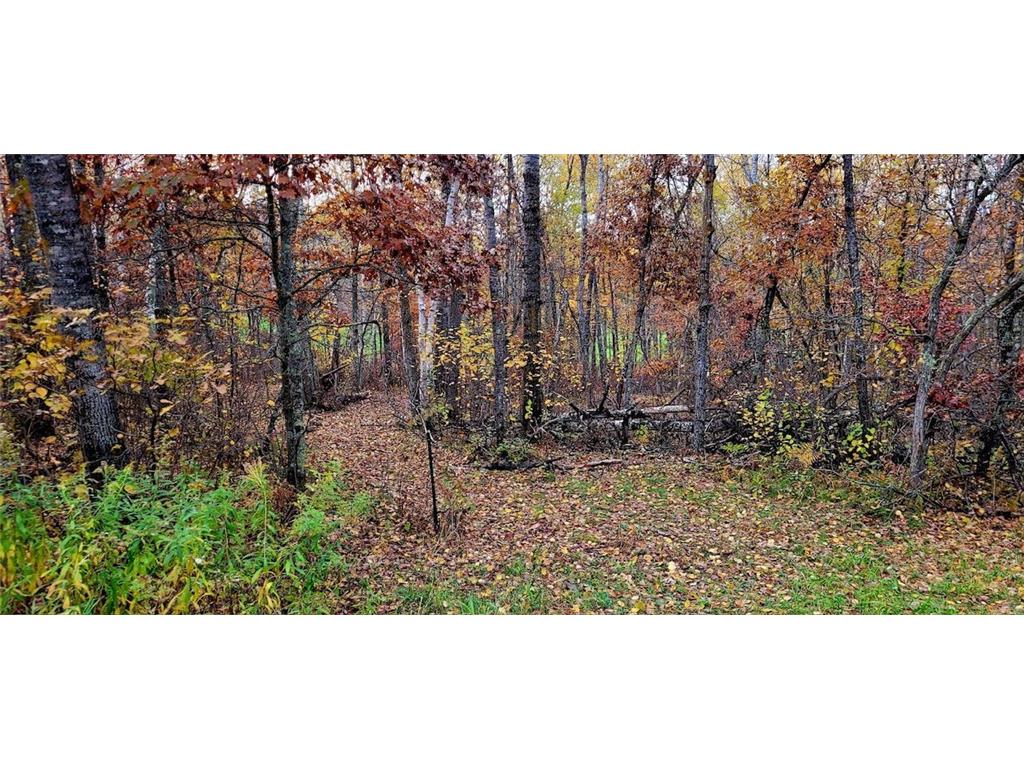 12 Suffolk Circle Breezy Point MN 56472 6739623 image7