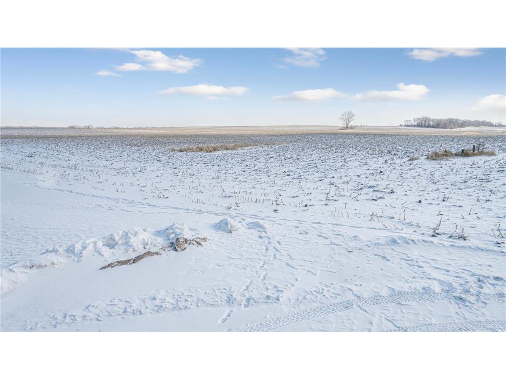 120 Kaukis Drive Le Sueur MN 56058 7011731 image4