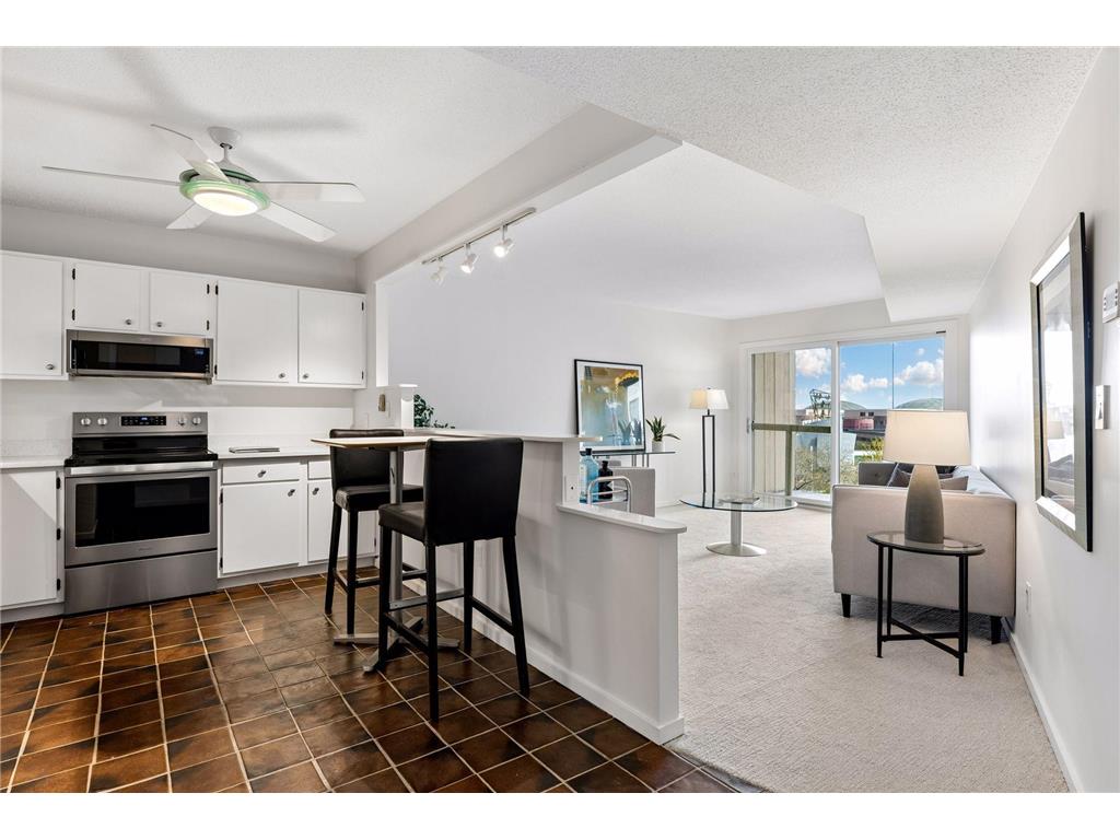 1200 Nicollet Avenue #723 Minneapolis MN 55403 7065698 image1