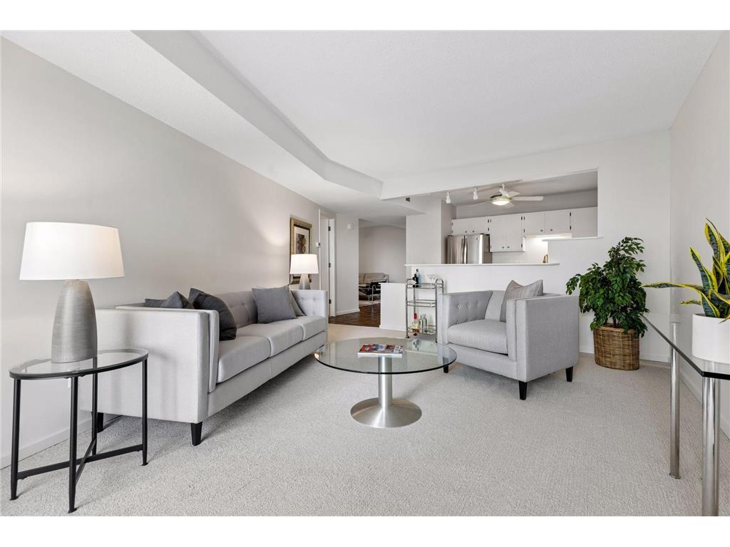 1200 Nicollet Avenue #723 Minneapolis MN 55403 7065698 image3