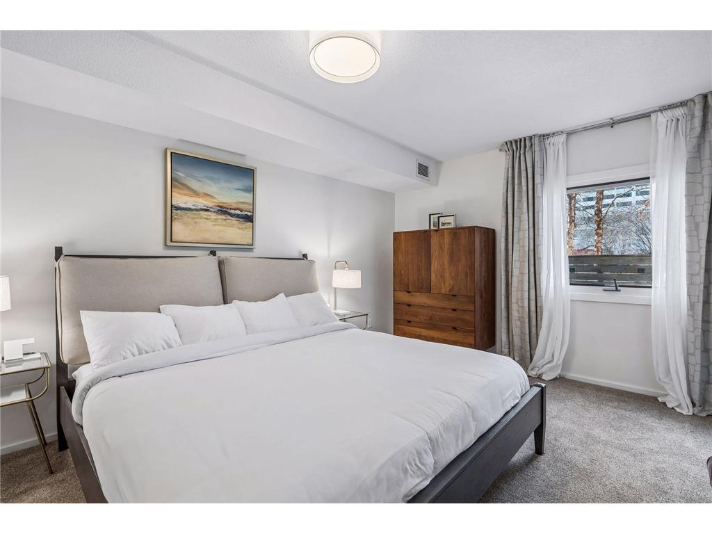 1200 Nicollet Mall #209 Minneapolis MN 55403 7040079 image14