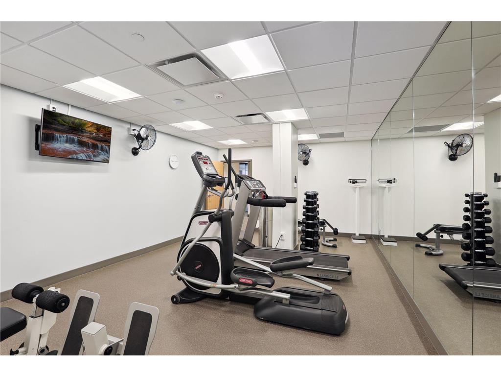 1200 Nicollet Mall #209 Minneapolis MN 55403 7040079 image33