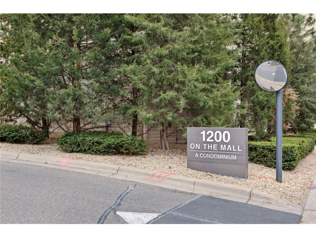 1200 Nicollet Mall #209 Minneapolis MN 55403 7040079 image37