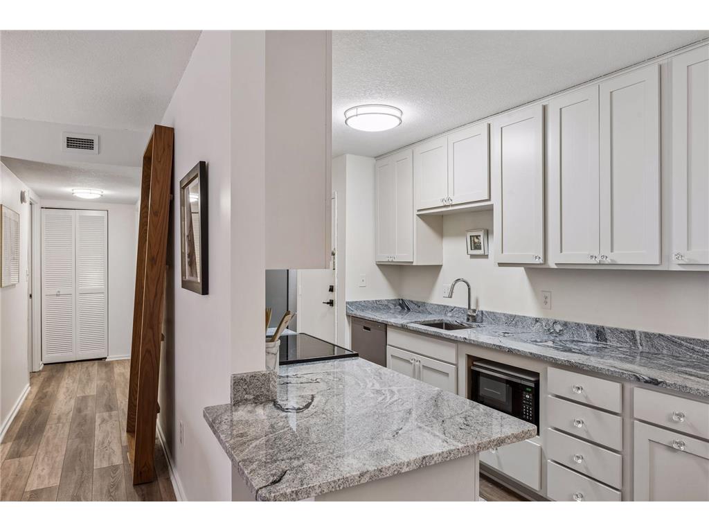 1200 Nicollet Mall #209 Minneapolis MN 55403 7040079 image7