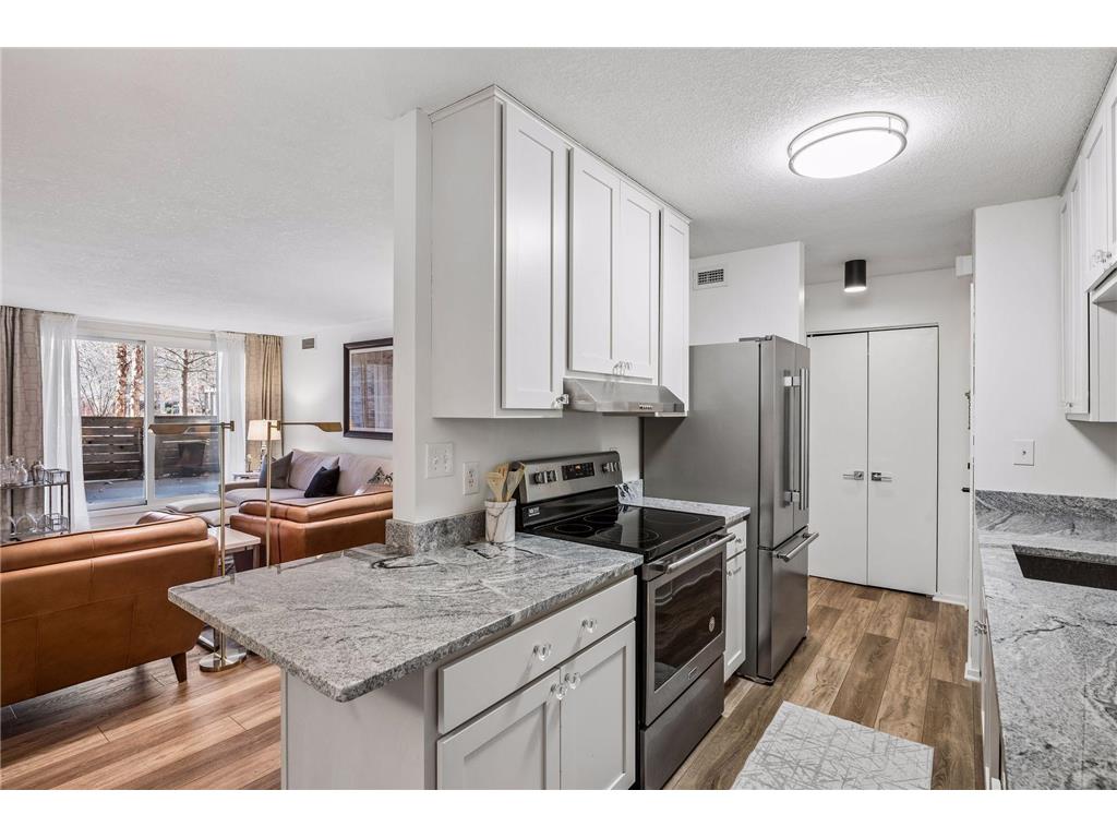 1200 Nicollet Mall #209 Minneapolis MN 55403 7040079 image9