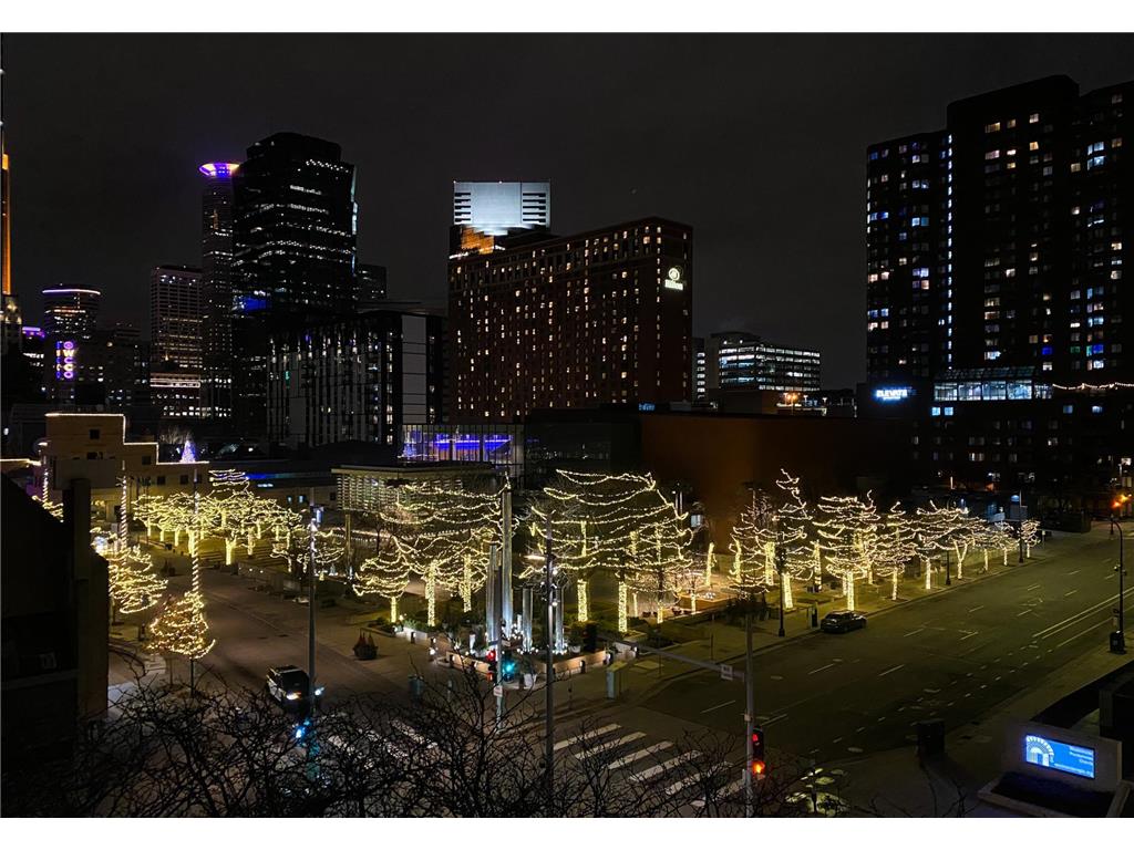 1200 Nicollet Mall #606 Minneapolis MN 55403 6752477 image12