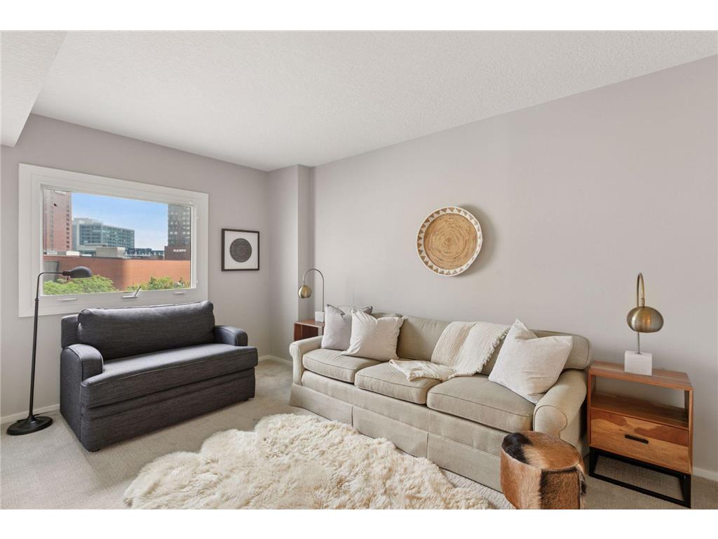 1200 Nicollet Mall #606 Minneapolis MN 55403 6752477 image32