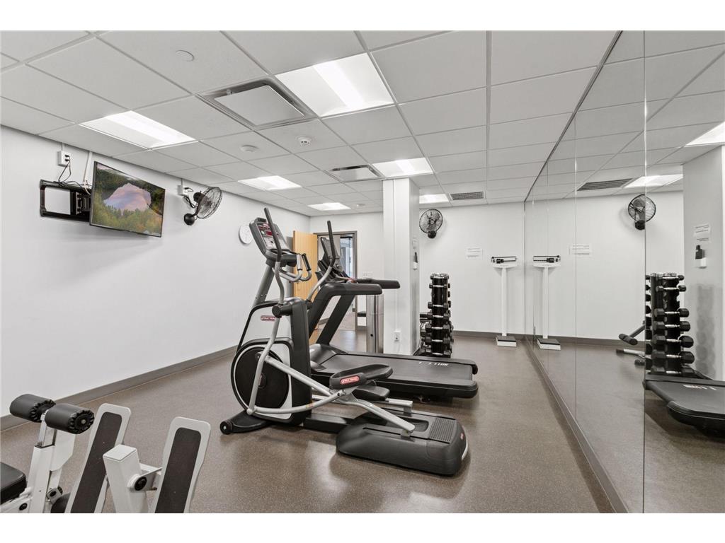 1200 Nicollet Mall #606 Minneapolis MN 55403 6752477 image35