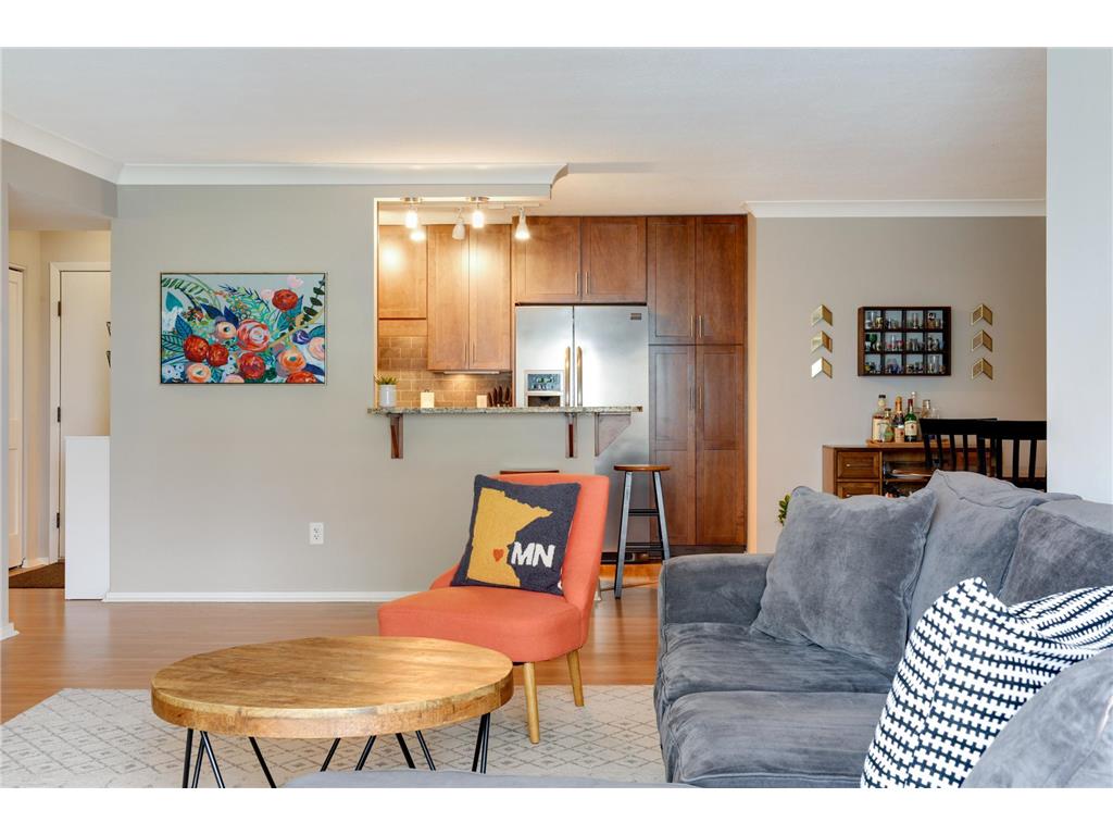 1200 Nicollet Mall #914 Minneapolis MN 55403 7098658 image11