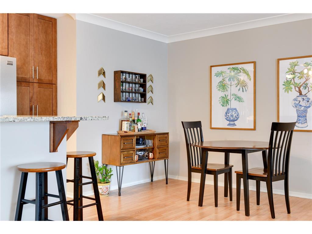 1200 Nicollet Mall #914 Minneapolis MN 55403 7098658 image12