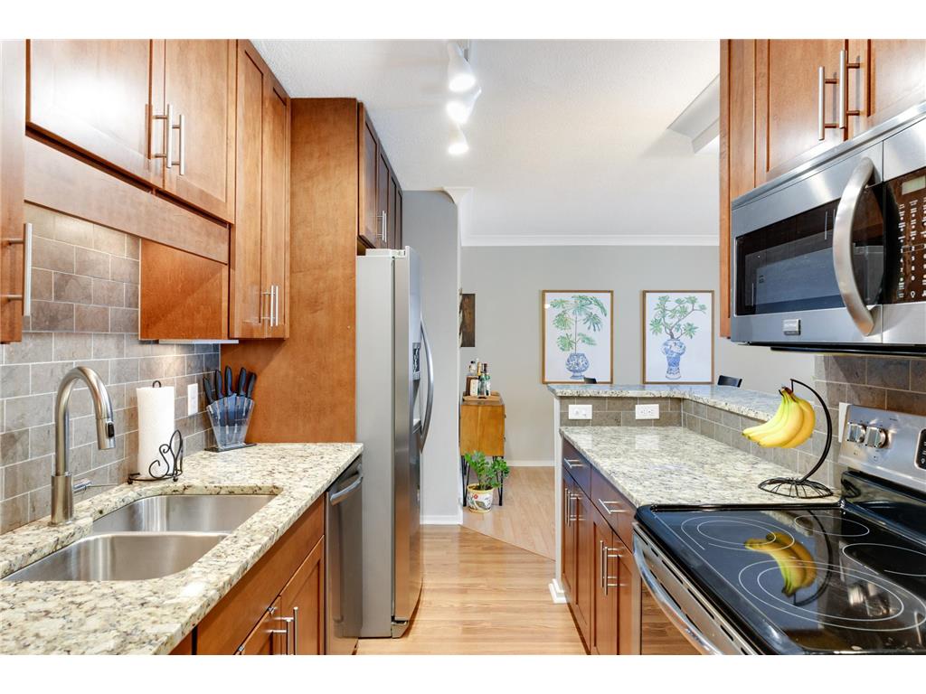 1200 Nicollet Mall #914 Minneapolis MN 55403 7098658 image4