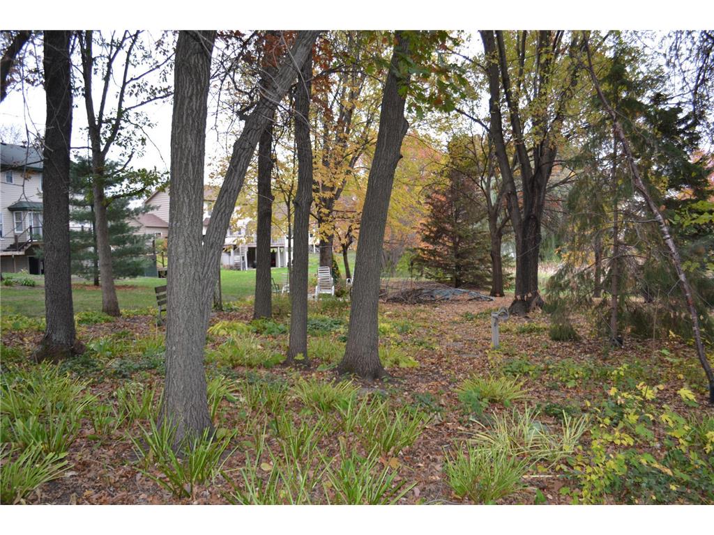 12006 Eldorado Street NE Blaine MN 55449 7025892 image40