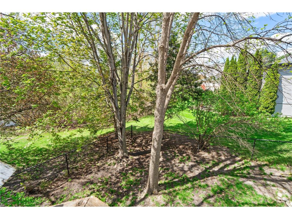 1201 Juniper Lane Buffalo MN 55313 7027918 image37
