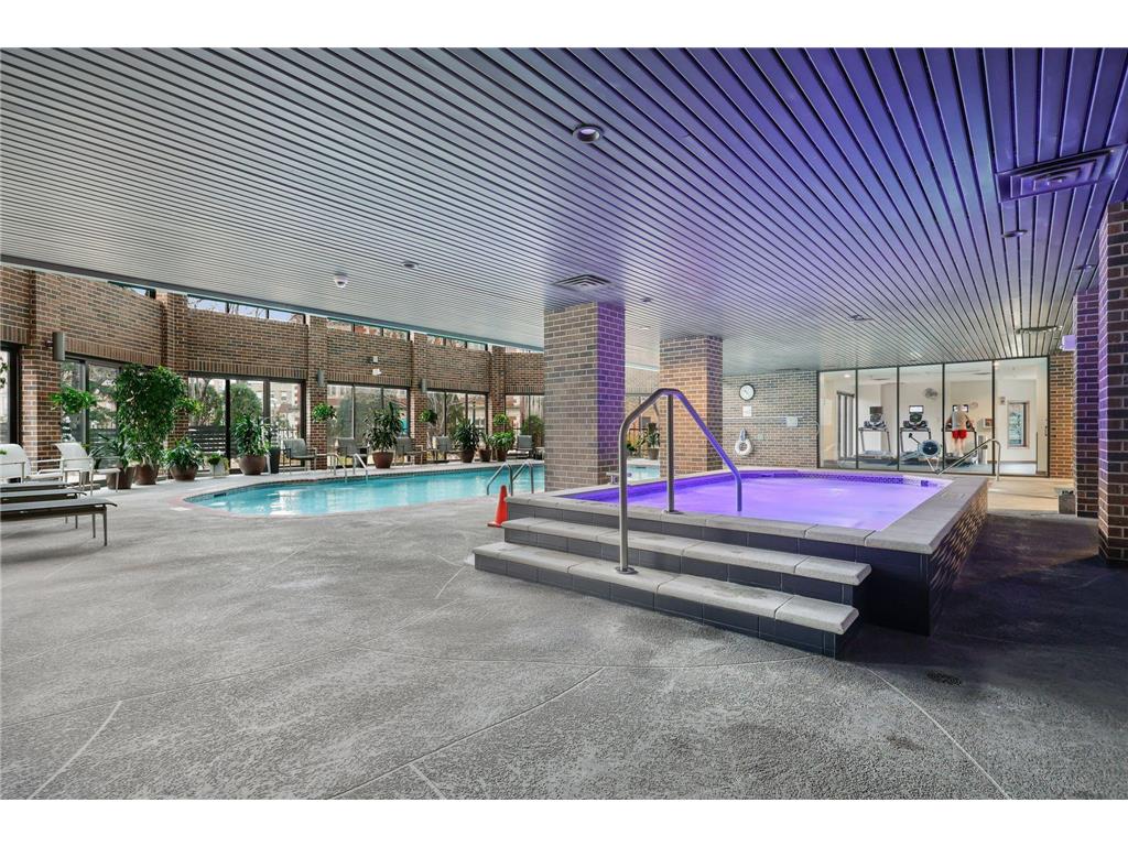 1201 Yale Place #1608 Minneapolis MN 55403 7022341 image48