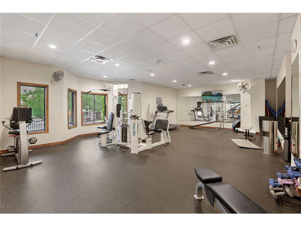 1201 Yale Place #2102 Minneapolis MN 55403 7025539 image59