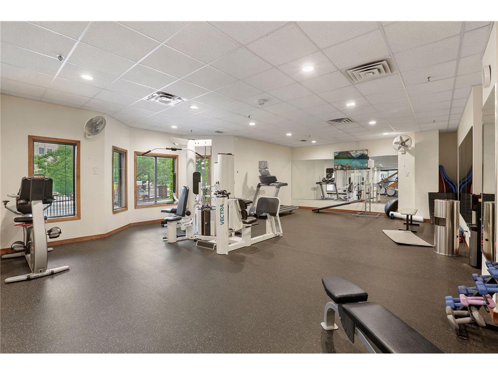 1201 Yale Place #809 Minneapolis MN 55403 7077441 image43