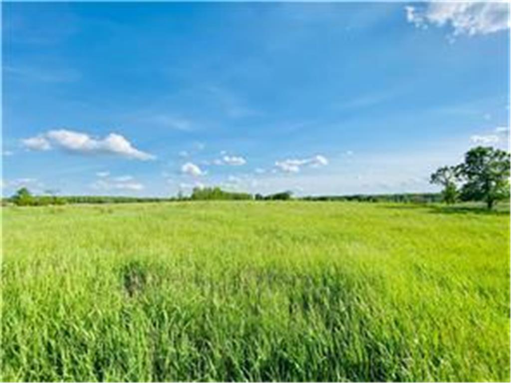 TBD 130th Avenue Ogilvie MN 56358 7049612 image3