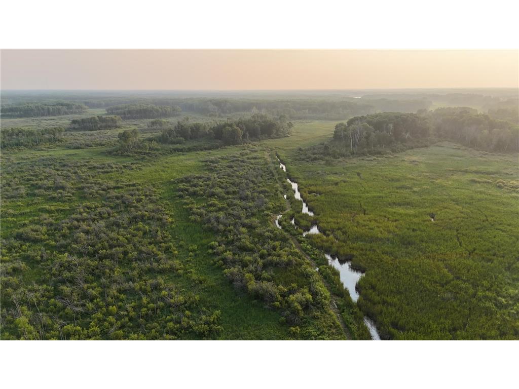 12031 State 64 Akeley MN 56433 6806529 image1