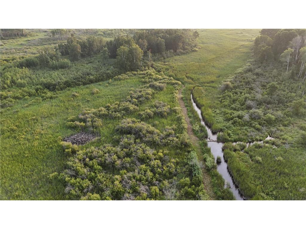 12031 State 64 Akeley MN 56433 6806529 image10