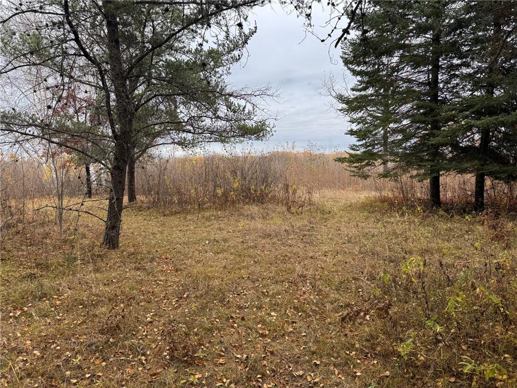 12031 State 64 Akeley MN 56433 6806529 image11