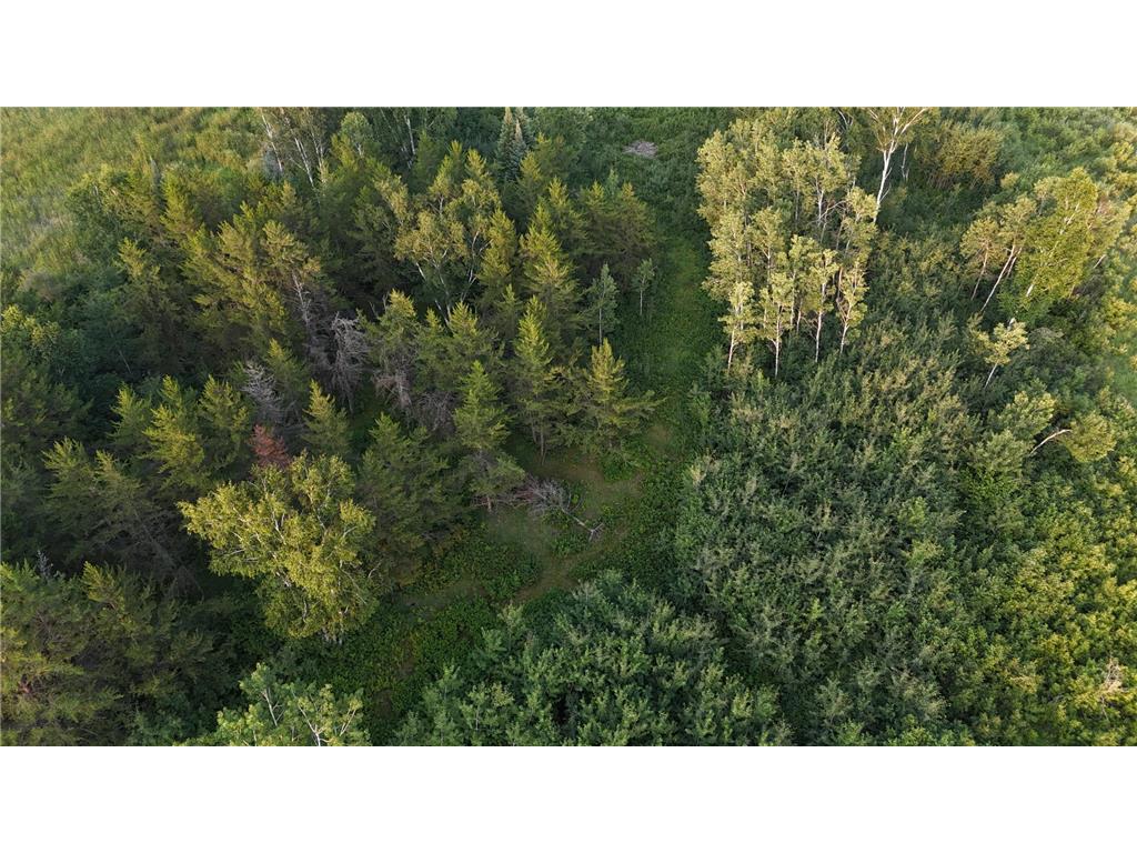 12031 State 64 Akeley MN 56433 6806529 image12