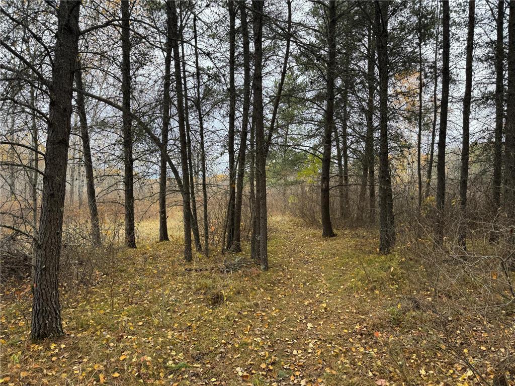 12031 State 64 Akeley MN 56433 6806529 image14