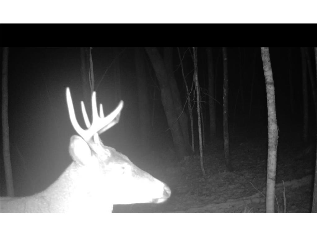 12031 State 64 Akeley MN 56433 6806529 image16