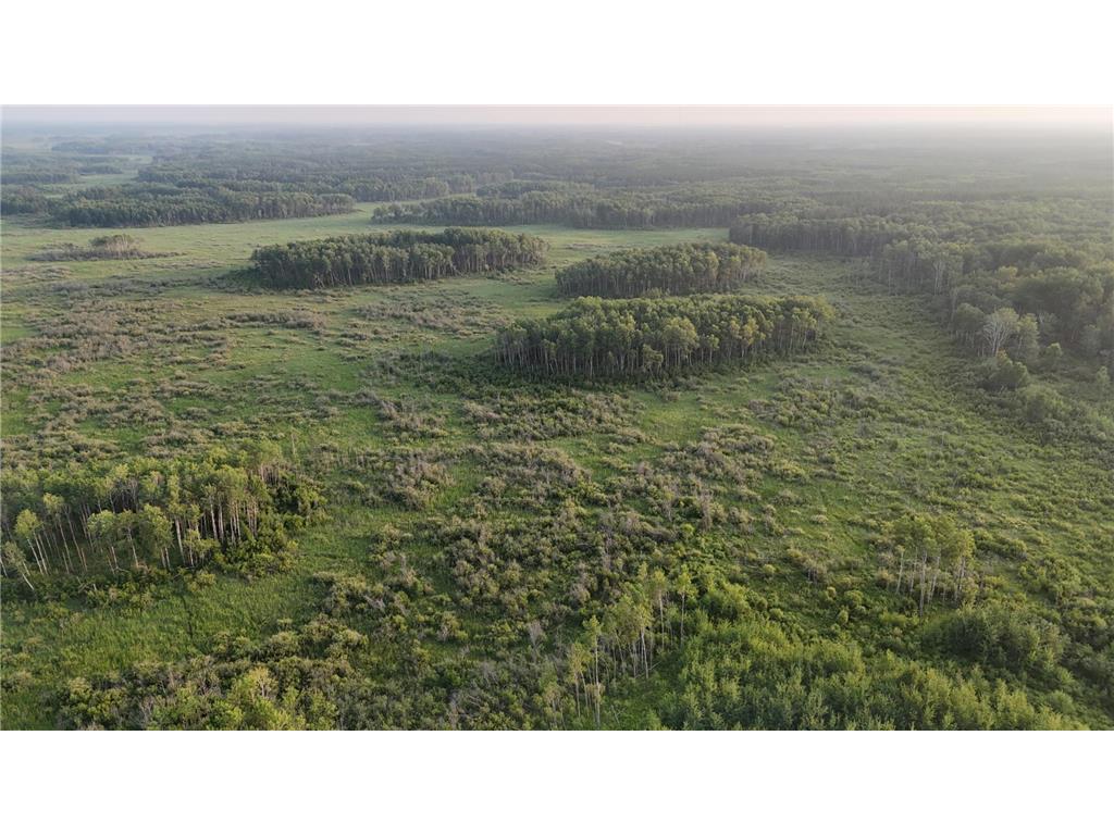 12031 State 64 Akeley MN 56433 6806529 image17