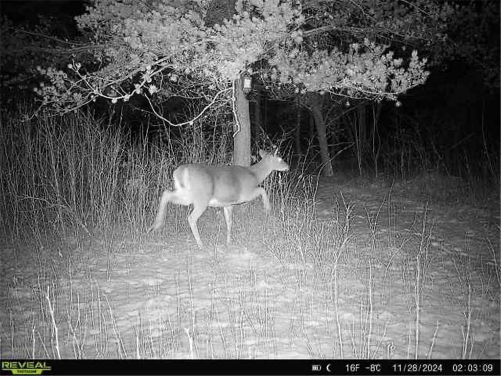 12031 State 64 Akeley MN 56433 6806529 image18