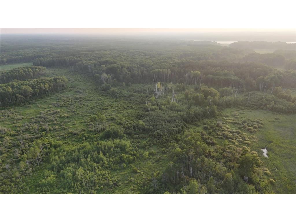 12031 State 64 Akeley MN 56433 6806529 image19