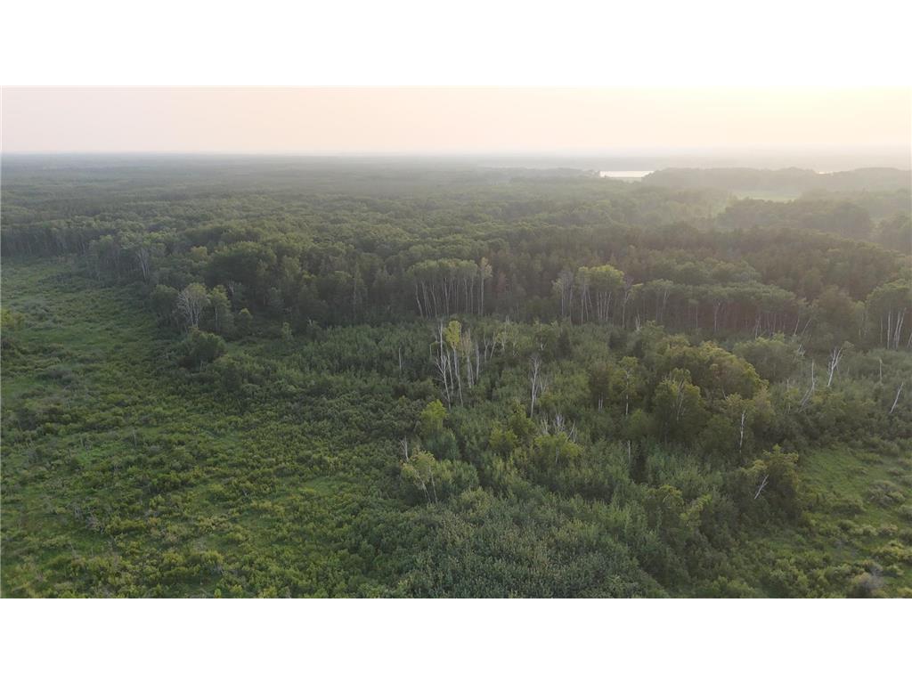 12031 State 64 Akeley MN 56433 6806529 image2