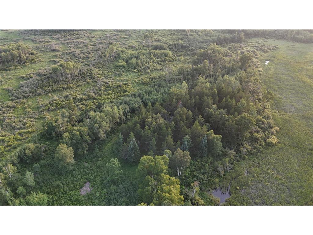 12031 State 64 Akeley MN 56433 6806529 image20