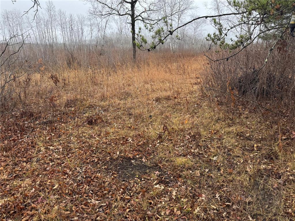 12031 State 64 Akeley MN 56433 6806529 image21