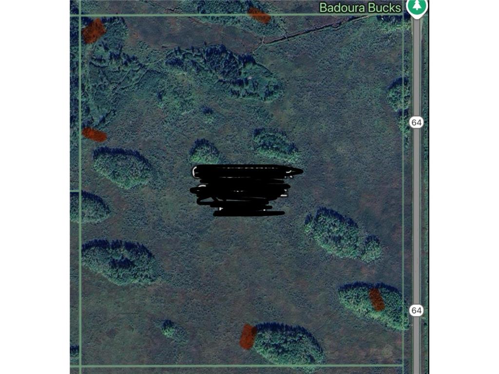 12031 State 64 Akeley MN 56433 6806529 image22