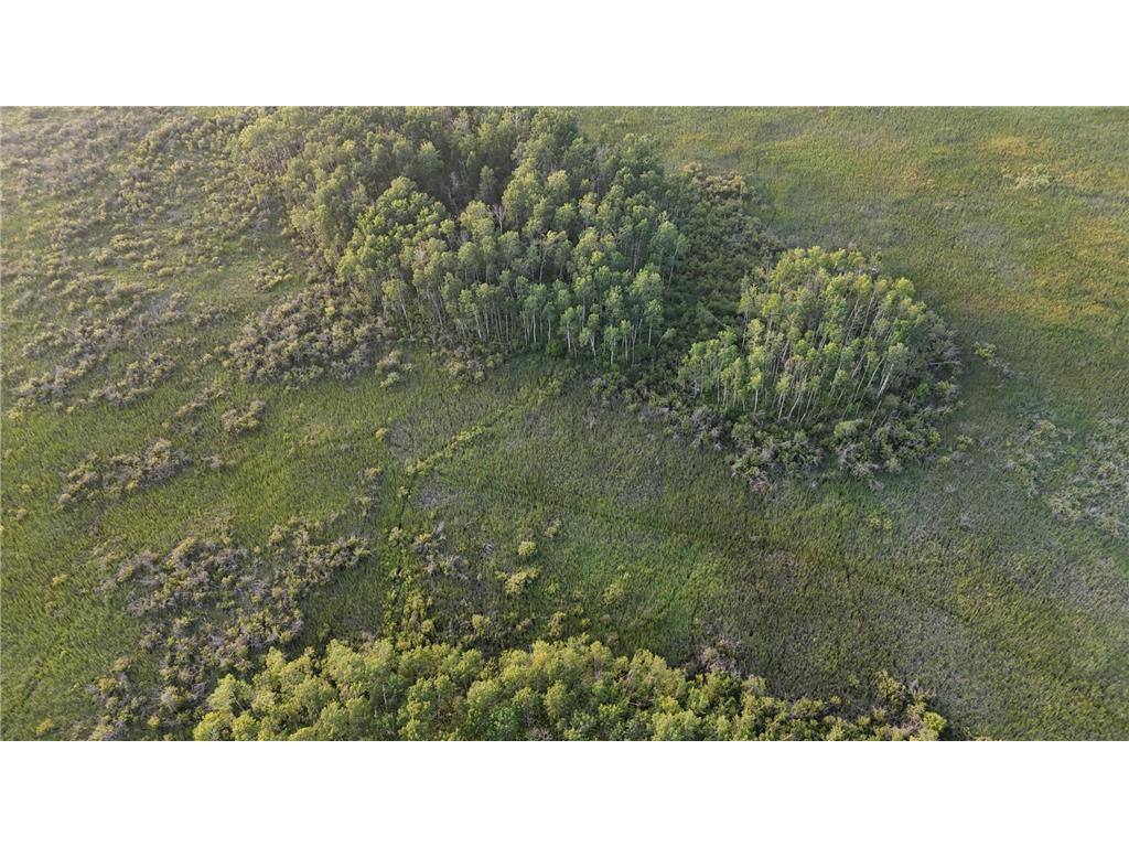 12031 State 64 Akeley MN 56433 6806529 image25