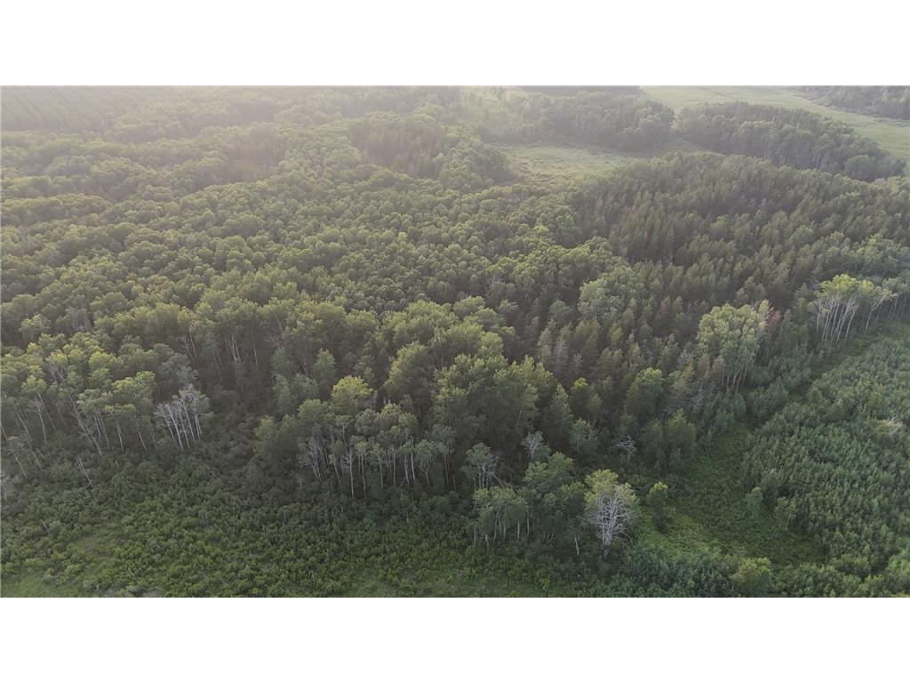 12031 State 64 Akeley MN 56433 6806529 image28