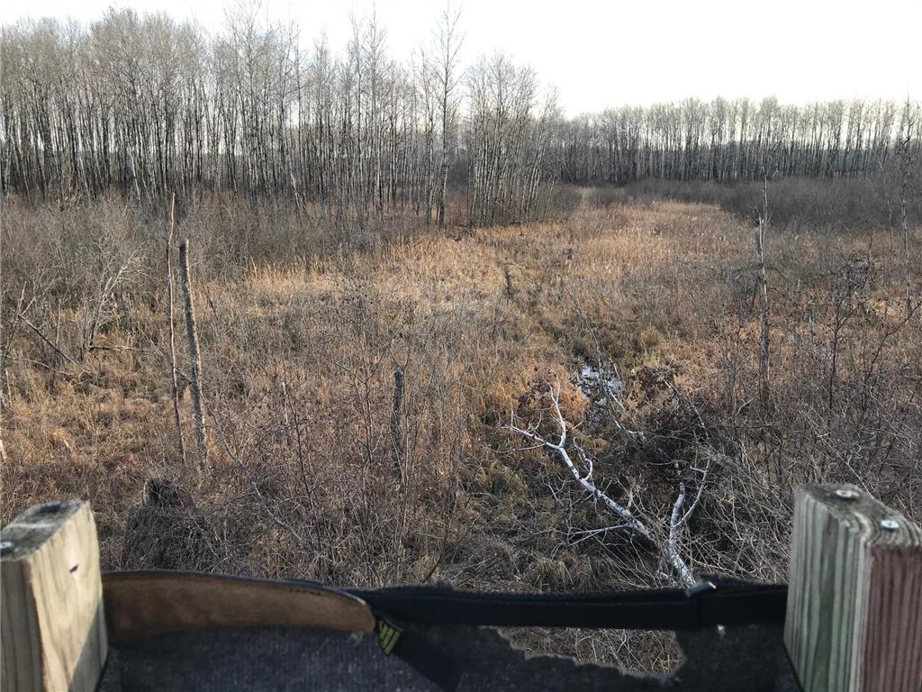 12031 State 64 Akeley MN 56433 6806529 image29