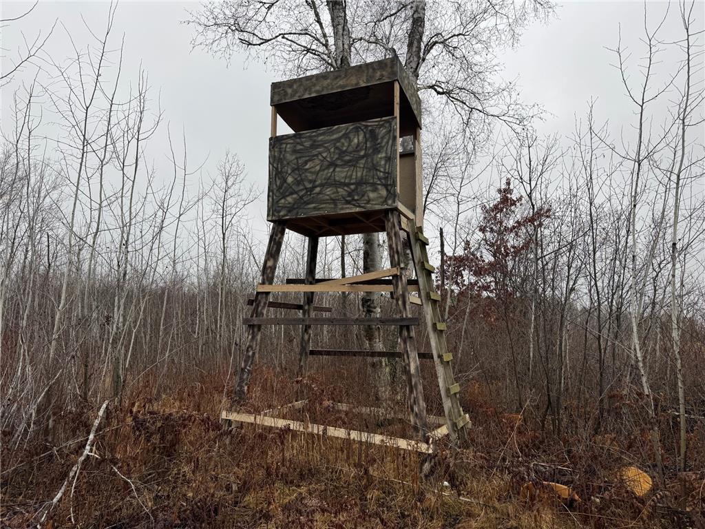 12031 State 64 Akeley MN 56433 6806529 image3