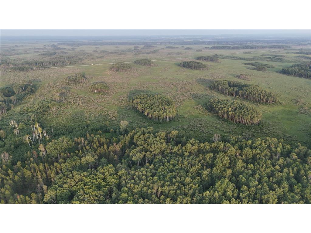 12031 State 64 Akeley MN 56433 6806529 image31