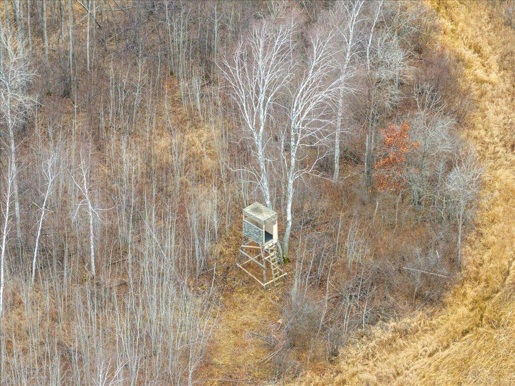 12031 State 64 Akeley MN 56433 6806529 image32