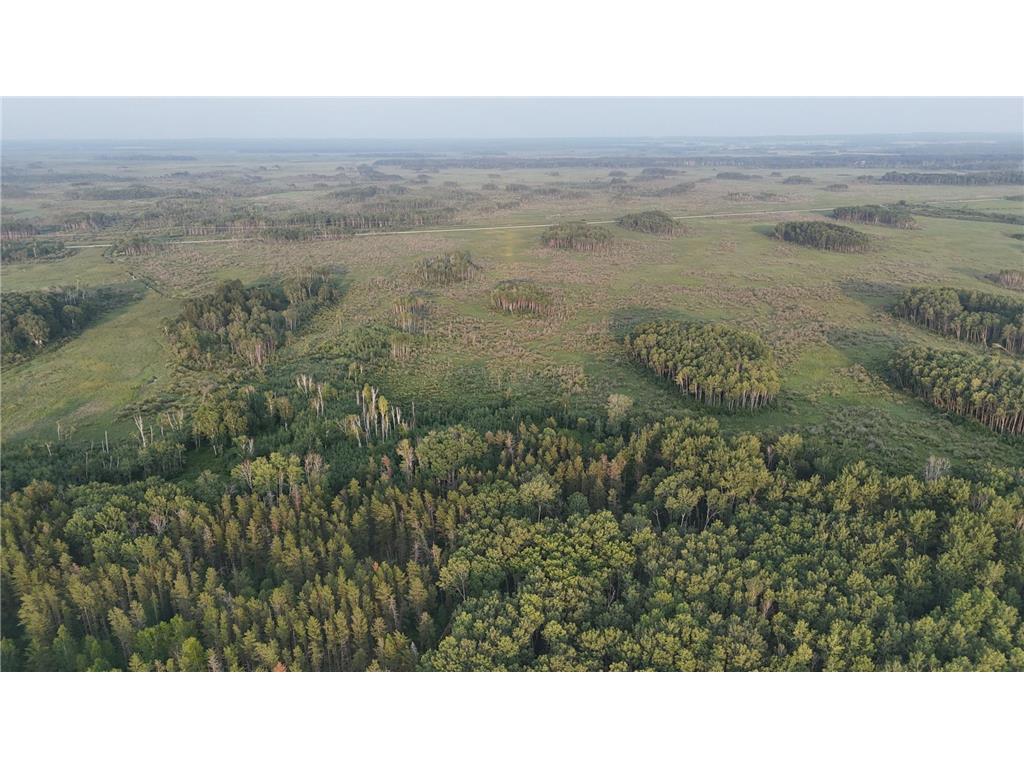 12031 State 64 Akeley MN 56433 6806529 image33