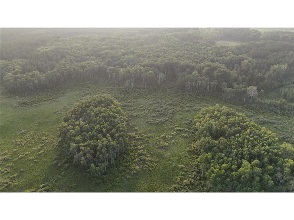 12031 State 64 Akeley MN 56433 6806529 image34