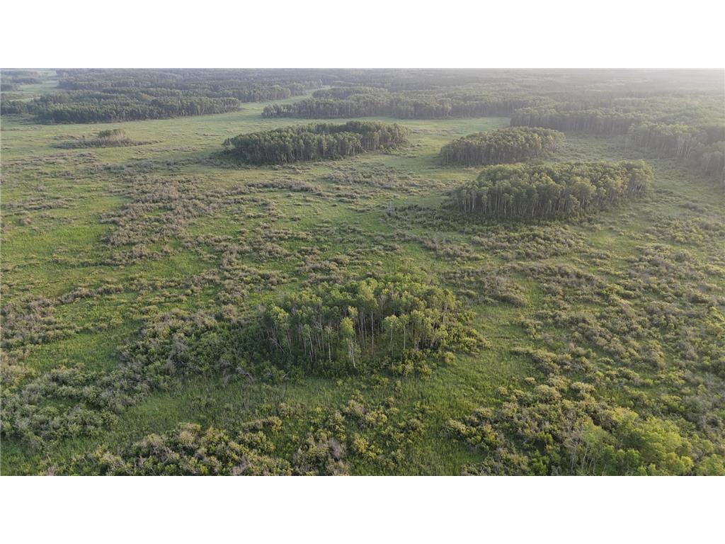 12031 State 64 Akeley MN 56433 6806529 image35