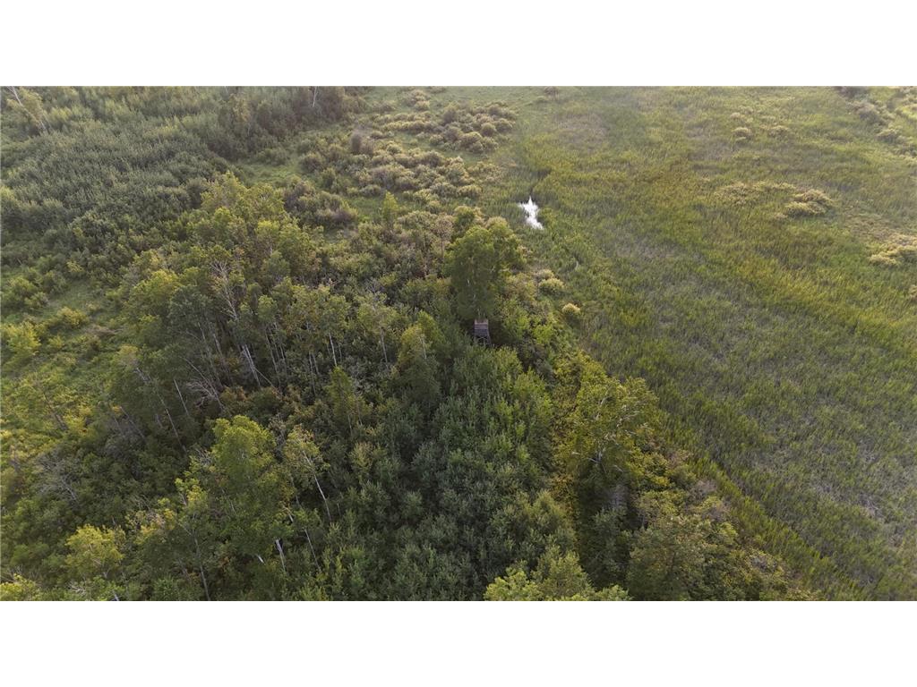 12031 State 64 Akeley MN 56433 6806529 image36