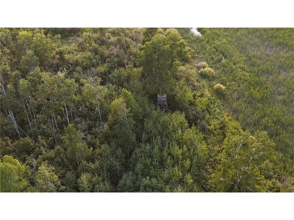 12031 State 64 Akeley MN 56433 6806529 image37