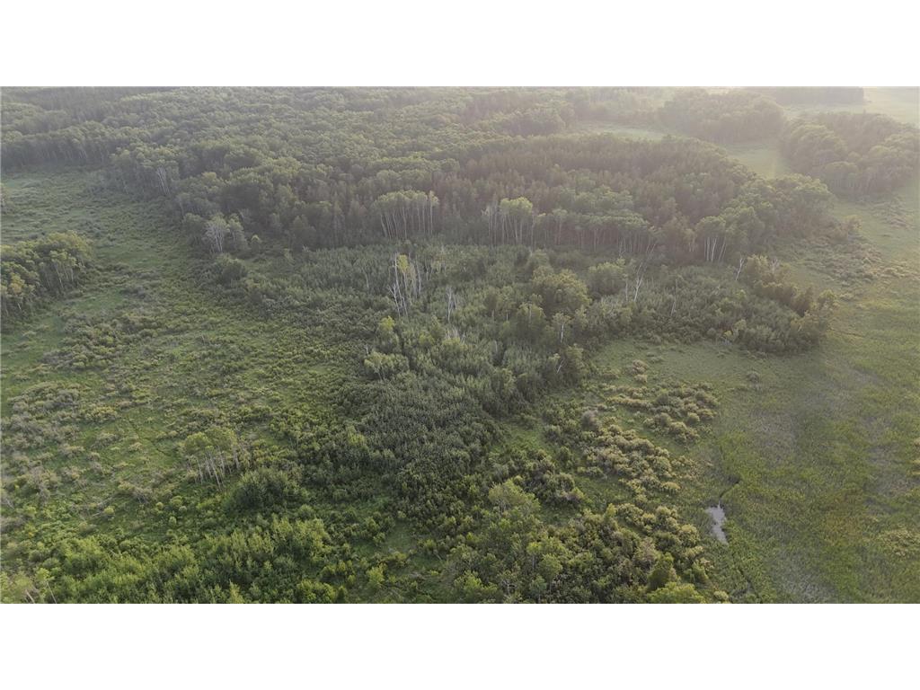 12031 State 64 Akeley MN 56433 6806529 image38