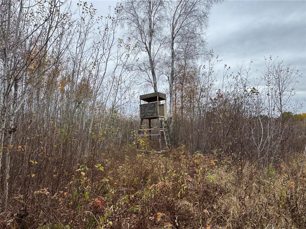 12031 State 64 Akeley MN 56433 6806529 image40