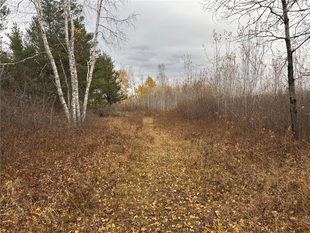 12031 State 64 Akeley MN 56433 6806529 image5