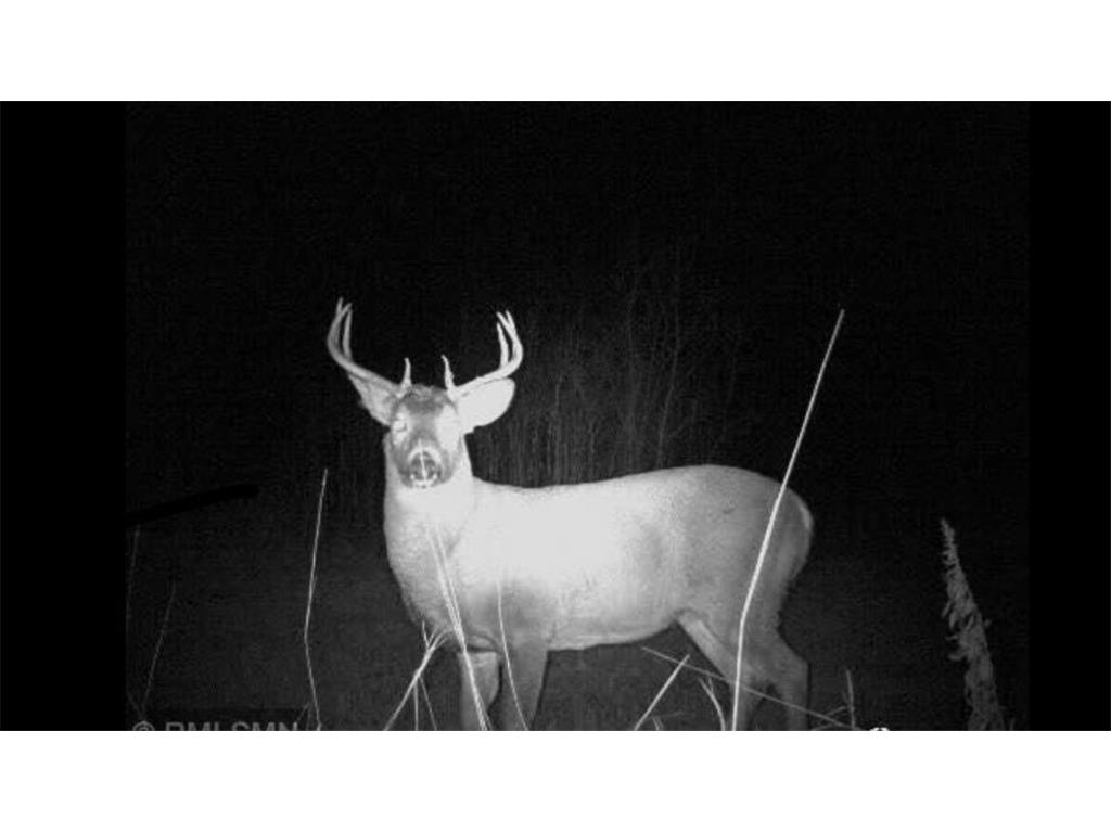 12031 State 64 Akeley MN 56433 6806529 image6